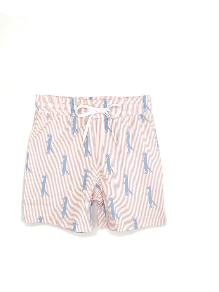 Little Boys Swim Trunks